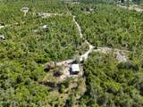 13663 Edith Hite Drive - Photo 1
