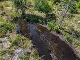 13663 Edith Hite Drive - Photo 8
