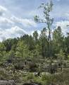 XX Jj Whitaker Rd - Photo 1