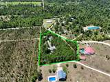 17103 Chipola Heights Road - Photo 6