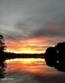 9927 Bedgood Road - Photo 40