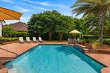 3517 Dragon Ridge Road - Photo 47