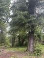 2435 Douglas Pond Road - Photo 1