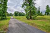 2527 Frost Lane - Photo 43