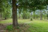 24197 Pine Tree Trail - Photo 63
