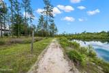 24197 Pine Tree Trail - Photo 70
