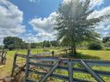 1272 Whitfield Lane - Photo 47