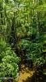 105 Acres Fl-2 - Photo 2