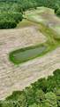 105 Acres Fl-2 - Photo 4