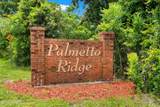 2903 Palmetto Ridge Way - Photo 4