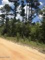 0 Tiger Avenue - Photo 1