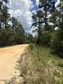 0 Tiger Avenue - Photo 10
