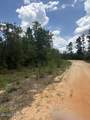 0 Tiger Avenue - Photo 4