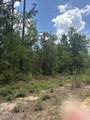 0 Tiger Avenue - Photo 5