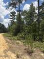 0 Tiger Avenue - Photo 9
