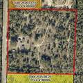 19716 Deep Springs Road - Photo 8