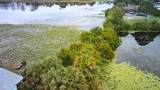 16544 Front Beach Road - Photo 11