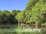 0007 Douglas Ferry Road - Photo 12