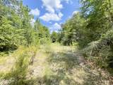 0007 Douglas Ferry Road - Photo 6