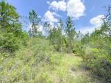 0007 Douglas Ferry Road - Photo 7