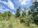 0007 Douglas Ferry Road - Photo 8
