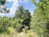 0007 Douglas Ferry Road - Photo 9