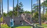6502 Golden Aster Trail - Photo 19