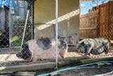 11214 Stone Road - Photo 54