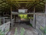 13274 Us Highway 331 - Photo 30