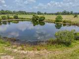 13274 Us Highway 331 - Photo 46