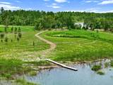 12815 Merial Pass - Photo 92