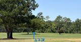223 Country Club Drive - Photo 30