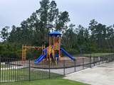 4138 Cedar Creek Drive - Photo 58