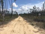 0 Laura Bluff Road - Photo 8