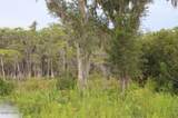 21558 Lake Mckenzie Boulevard - Photo 5