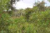 21558 Lake Mckenzie Boulevard - Photo 7