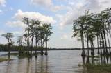 21558 Lake Mckenzie Boulevard - Photo 8