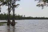 21558 Lake Mckenzie Boulevard - Photo 9