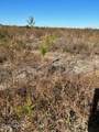 000 Americus Road - Photo 13