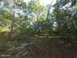 00 Payne Lake Road Road - Photo 9