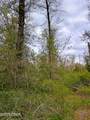 000 Dickerson Road - Photo 13