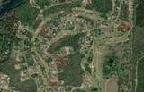 0000 Magnolia Blossom Lane - Photo 10