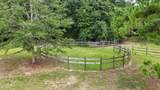 3754 Annie Road - Photo 23
