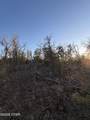 Lot 15 Trellis Drive - Photo 6
