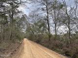 Tract#6201 Doyle Morgan Road - Photo 2