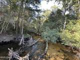 Tract#6201 Doyle Morgan Road - Photo 5