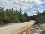 Tract# Mattox Springs Road - Photo 4
