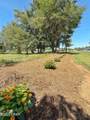 3380 Caverns Road - Photo 38