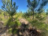 000 River Road - Photo 21