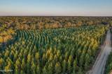 XXX Open Creek Road - Photo 7